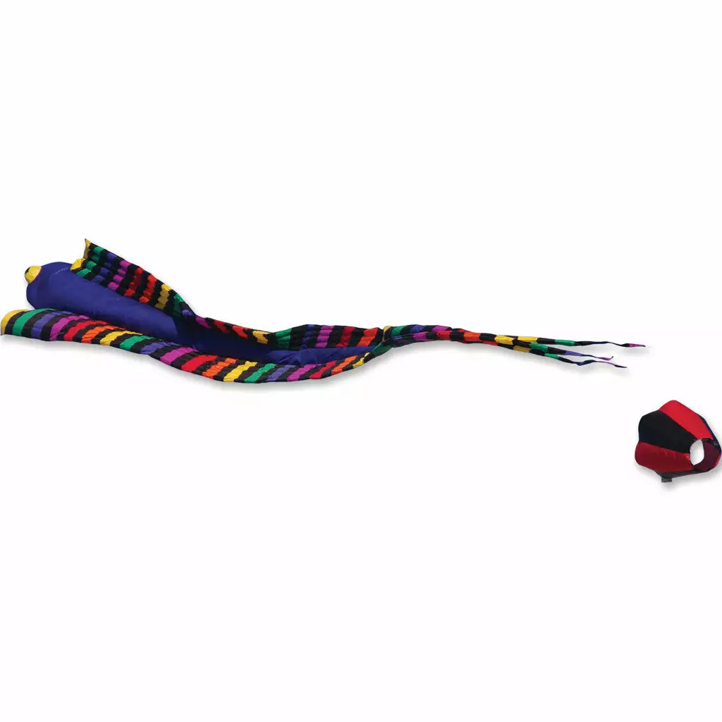 Collections Kites Giant Eel Kite - Rainbow Collections 3 Collections Kites Giant Eel Kite - Rainbow Collections