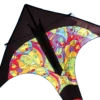 Kites T-Delta Kite - Rainbow Orbit Premier Kites