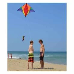 Kites Gyro Delta Kite - Rainbow Premier Kites