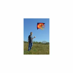 Kites Premier Kites 56 In. Stream Delta Kite - Fire Ball