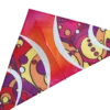 Kites 56 In. Delta Kite - Warm Orbit 2 Kites 56 In. Delta Kite - Warm Orbit