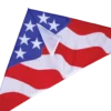 Kites 56 In. Delta Kite - Patriotic