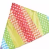 Kites 6.5 Ft. Delta Kite - Pattern Rainbow Premier Kites