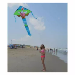 Kites Premier Kites Large Easy Flyer Kite - Wade Duck