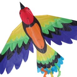 Kites Rainbow Bird Kite