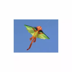 Kites Flying Dragon Kite