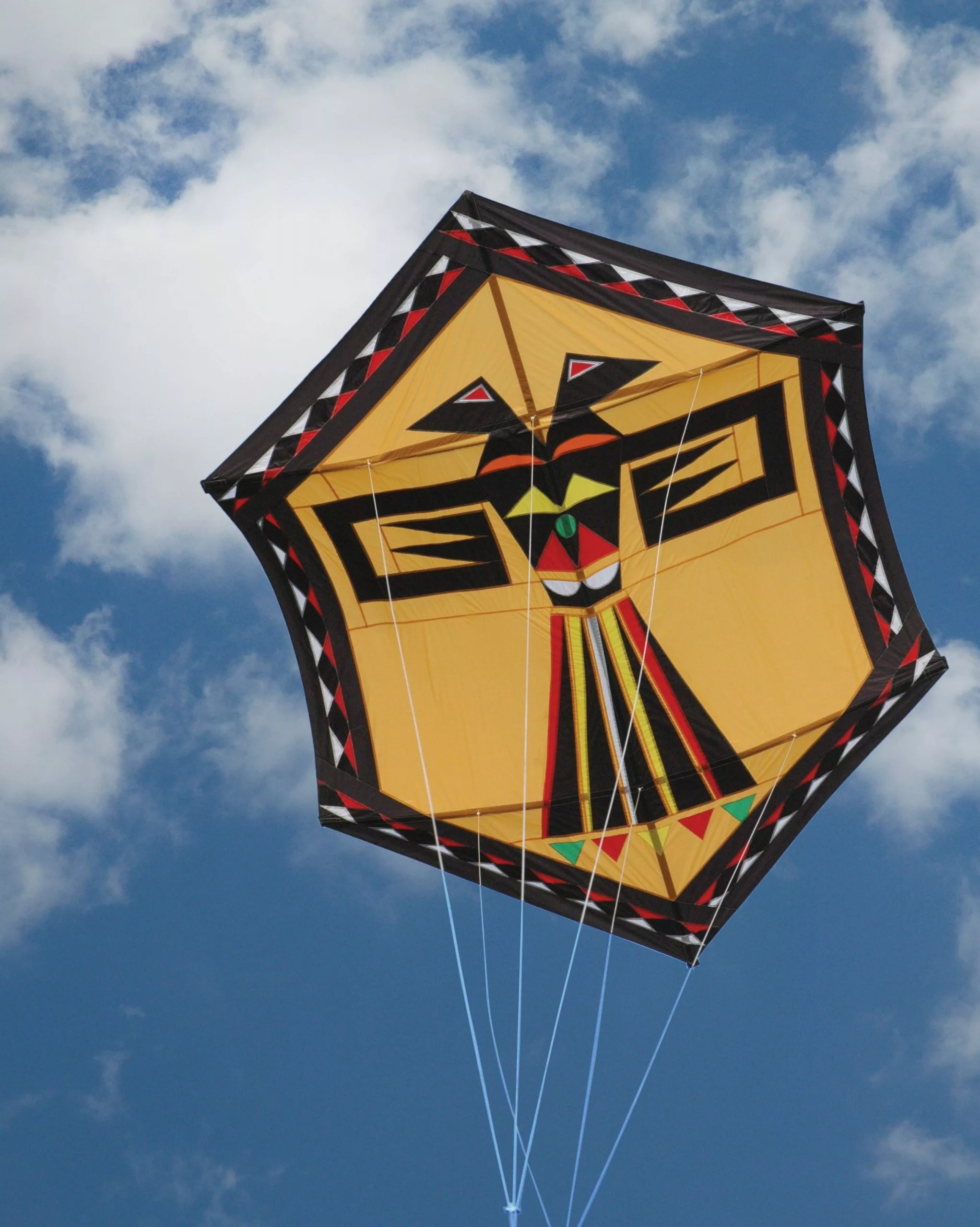 Collections Kites Eagle Of Paradox Kite - Golden 4 Collections Kites Eagle Of Paradox Kite - Golden