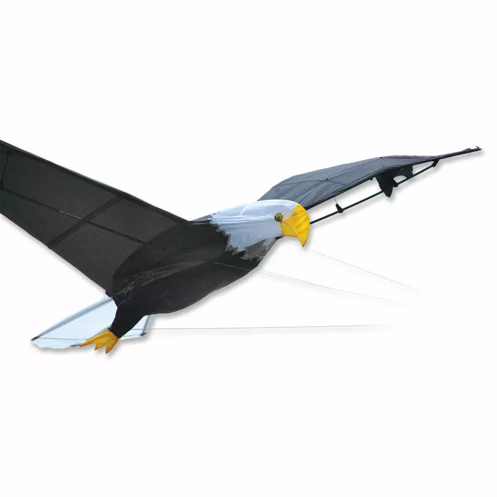 Collections Kites Giant Bald Eagle Kite 3 Collections Kites Giant Bald Eagle Kite