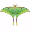 Collections Kites Collections Luna Moth Kite