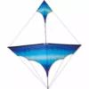Collections Kites Collections Canard Kite - Cool