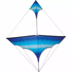 Collections Kites Collections Canard Kite - Cool