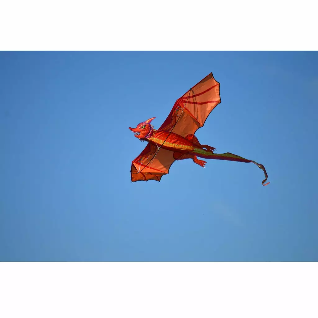 Kites Premier Kites 3D Dragon Kite - Emberscale 5 Kites Premier Kites 3D Dragon Kite - Emberscale