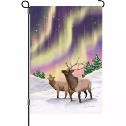 Accent Home & Garden - Sale Accent 12 In. Flag - Northern Lights