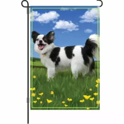 Accent Home & Garden 12 In. Flag - Panda The Chihuahua