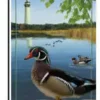 Accent Home & Garden 12 In. Flag - Wood Ducks Accent