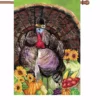Accent Home & Garden 28 In. Flag - Turkey Pilgrim Accent