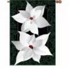 Accent Home & Garden - Sale Accent 28 In. Flag - Silver Poinsettia 1 Accent Home & Garden - Sale Accent 28 In. Flag - Silver Poinsettia