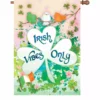 Accent Home & Garden 28 In. Flag - Irish Vibes Only