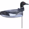 Premier Kites & Designs Windicator Weather Vane - Loon Windicator Weather Vanes 1 Premier Kites & Designs Windicator Weather Vane - Loon Windicator Weather Vanes