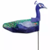 Premier Kites & Designs Windicator Weather Vane - Peacock