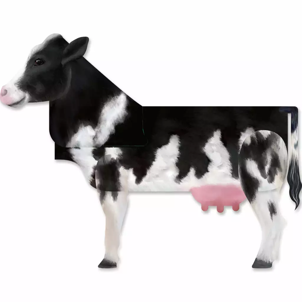 Premier Kites & Designs XL Windicator Weather Vane - Black Cow 3 Premier Kites & Designs XL Windicator Weather Vane - Black Cow