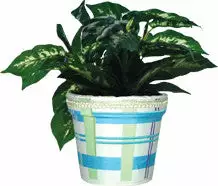 Accent Home & Garden - Sale Accent Flower Pot Cover - Cool Plaids