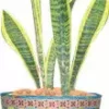 Accent Home & Garden - Sale Accent Flower Pot Cover - Waikiki Beach