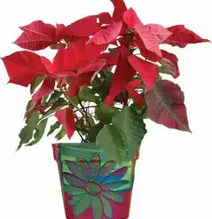 Accent Home & Garden - Sale Flower Pot Cover - Glitter Floral Accent