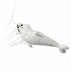 Collections Kites Baby Seal Kite - White