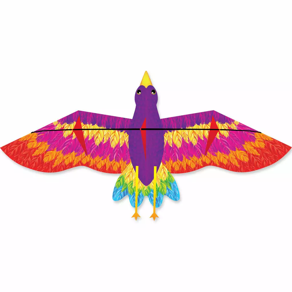 Rainbow Bird Kite (Bold Innovations) 3 Rainbow Bird Kite (Bold Innovations)