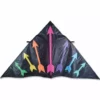 Kites 9 Ft. Delta Kite - Rainbow Arrows Premier Kites