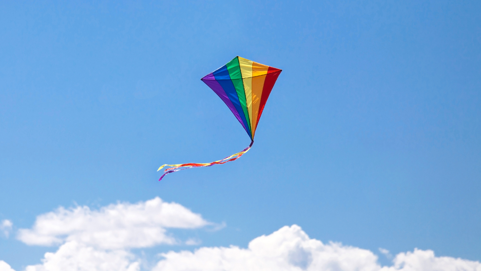 Deals Premier Kites & Designs Store -Premier Kites & Designs Sales Store kite